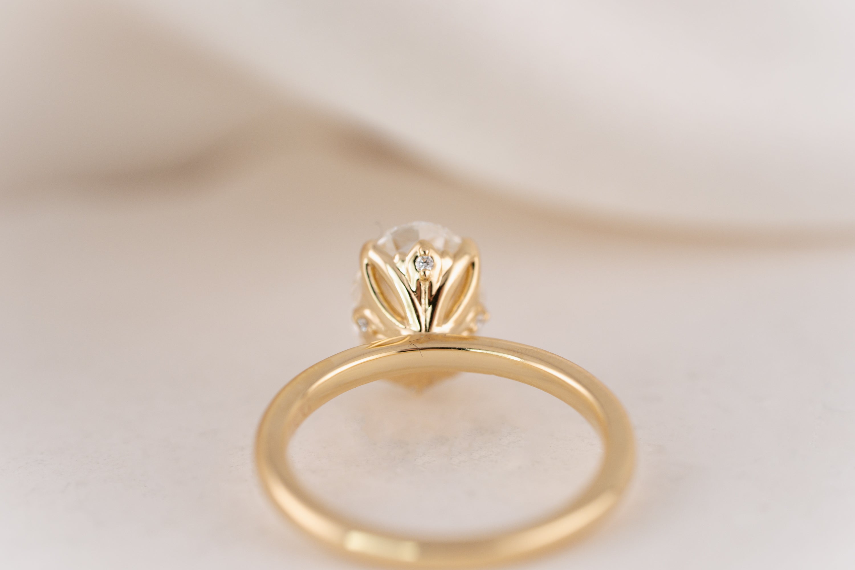 The Secret Garden Ring | 2.5 CT Oval Diamond - Lavender Creek Gems