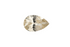 0.91 CT Pear Cut Yellow Sapphire - Lavender Creek Gems