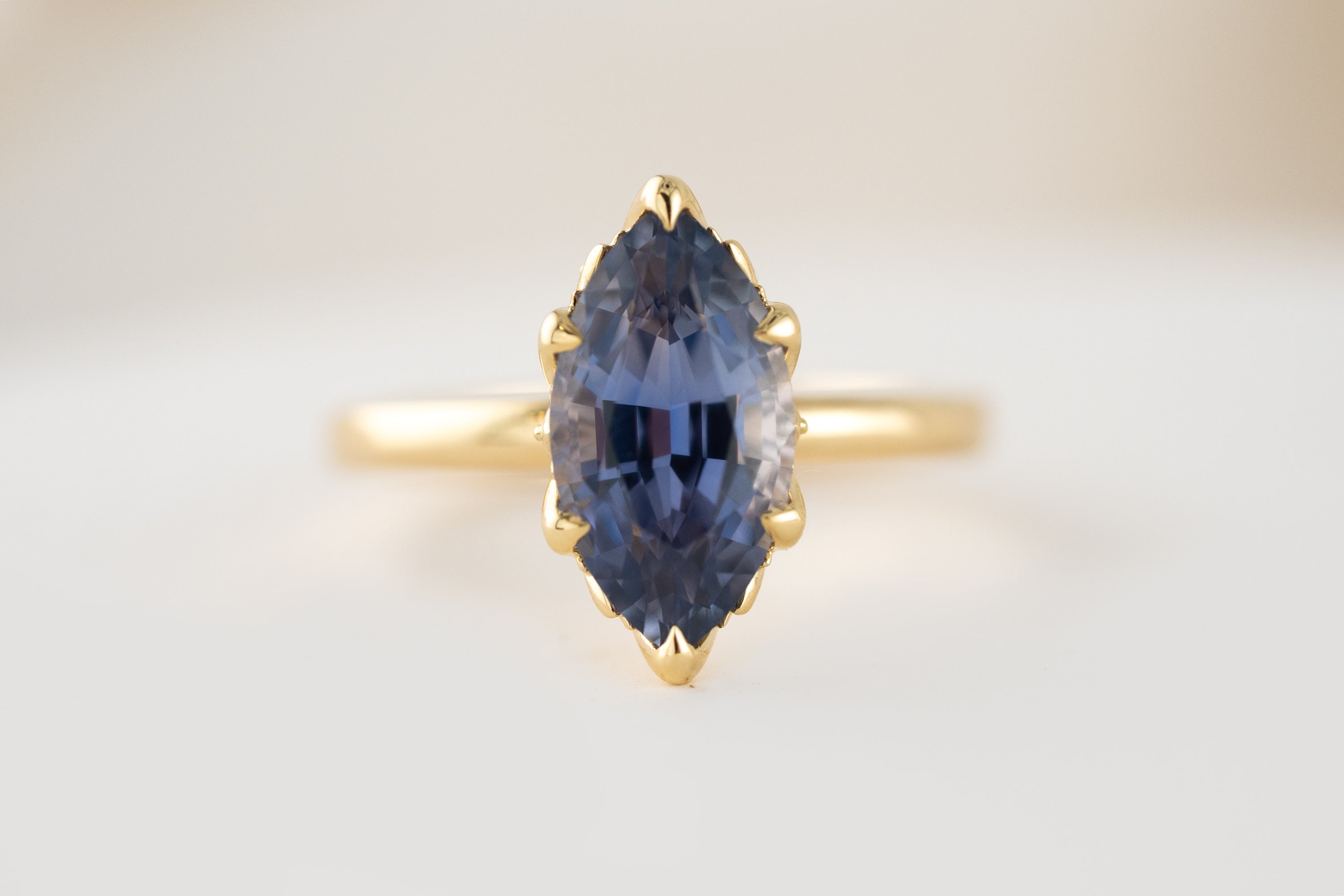 The Secret Garden Ring | 3.87 CT Marquise Blue Sapphire