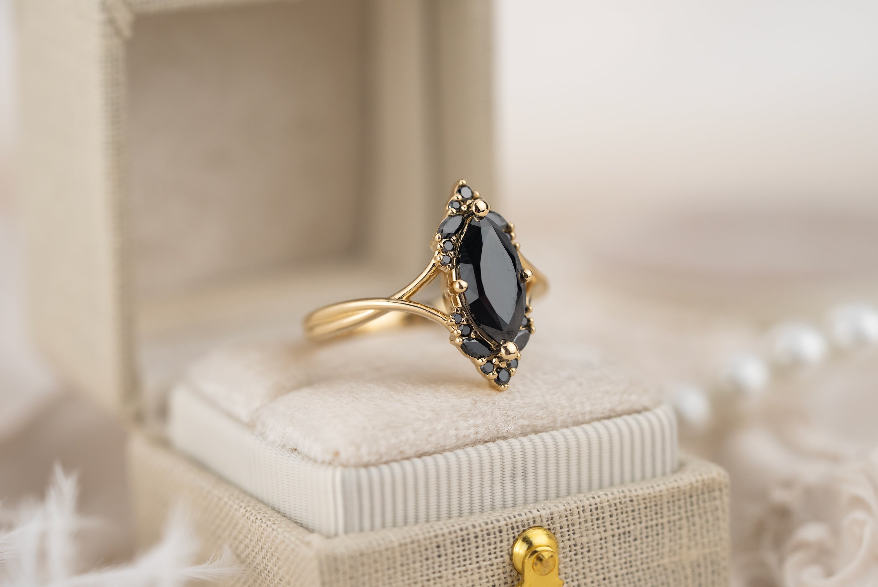 The Everlight Ring | 1.69 CT Black Diamond
