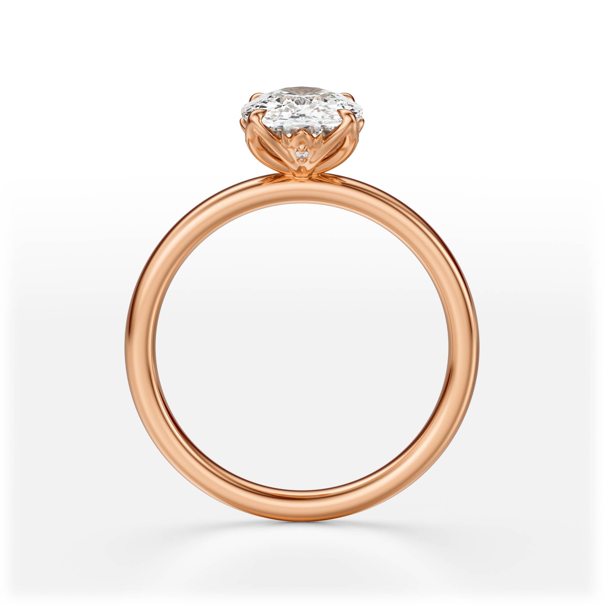 The Secret Garden Ring | Elongated Cushion | Setting Only