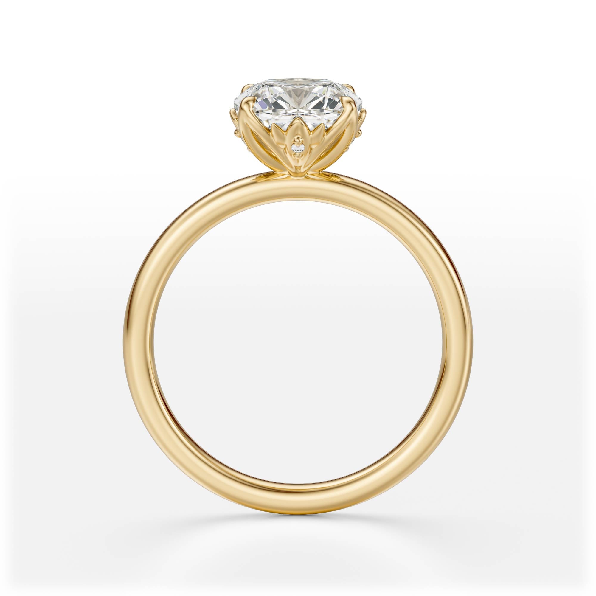 The Secret Garden Ring | Cushion | Setting Only