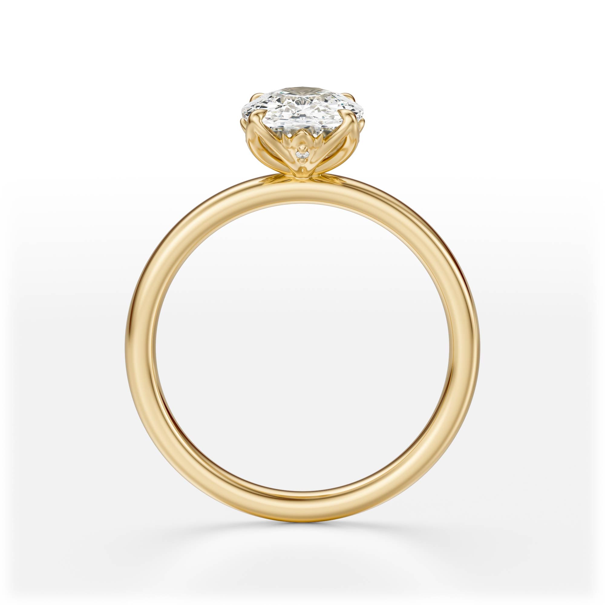 The Secret Garden Ring | Elongated Cushion | Setting Only