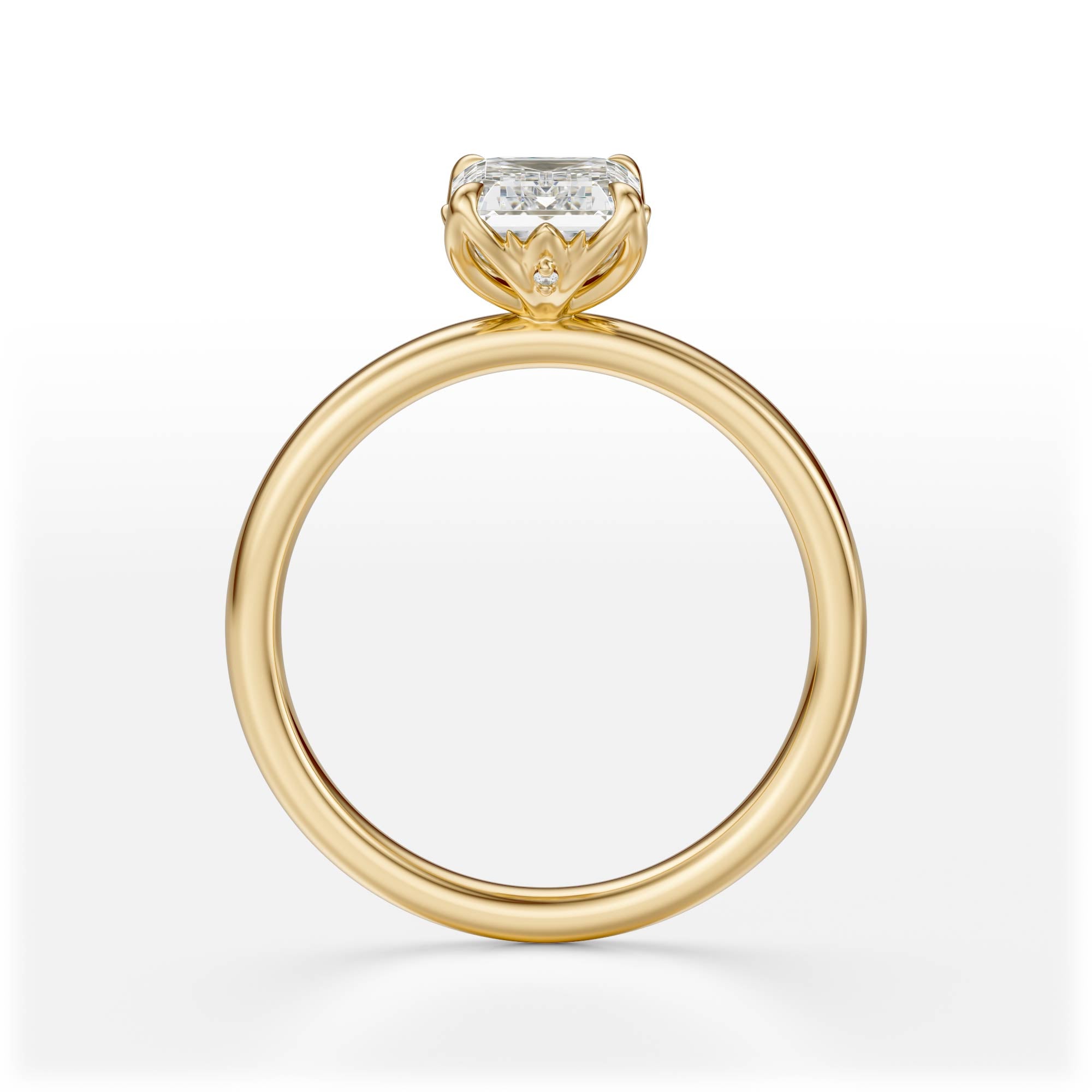 The Secret Garden Ring | Emerald Cut | Setting Only
