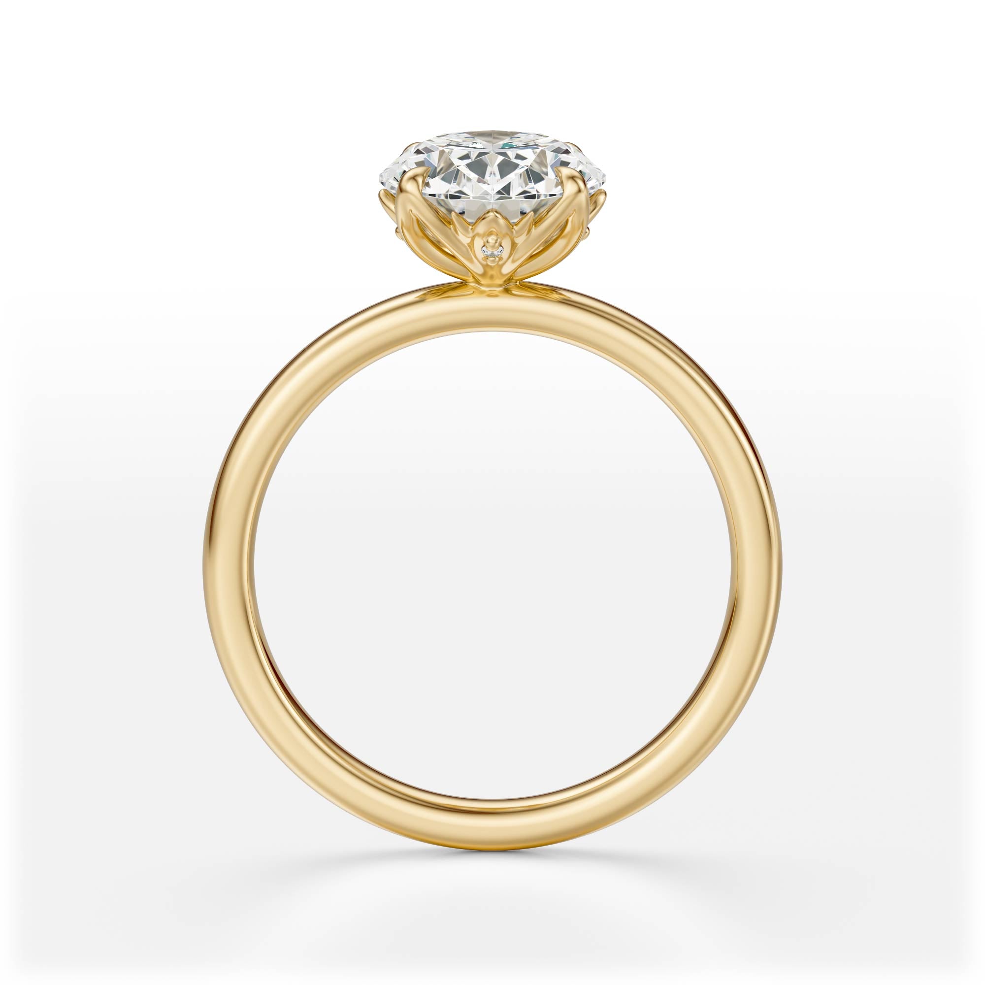 The Secret Garden Ring | Oval | Setting Only