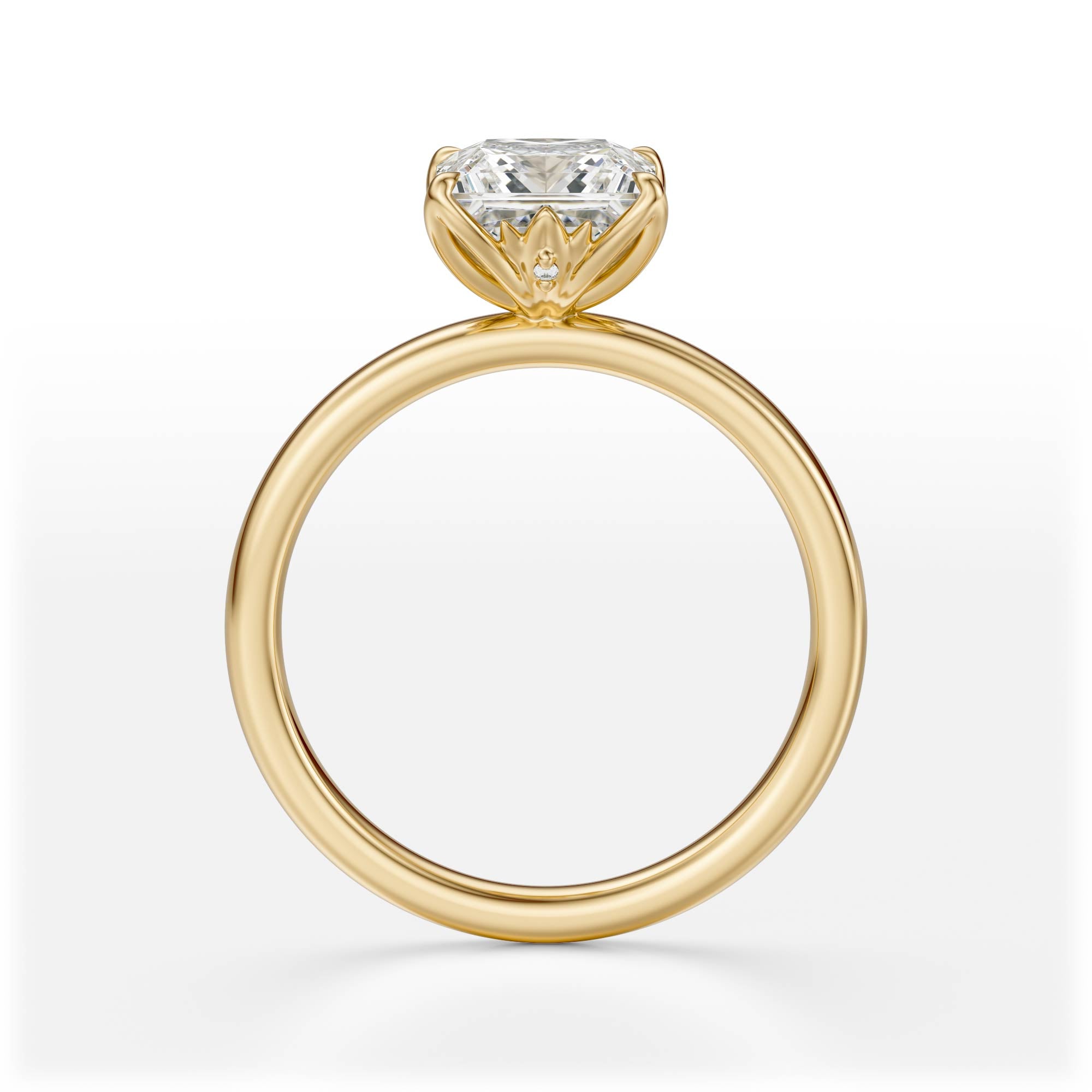 The Secret Garden Ring | Princess | Setting Only