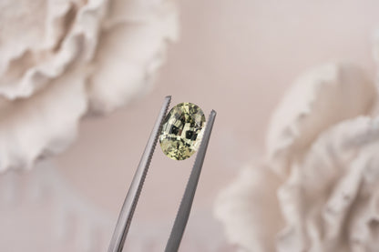 1.72 CT Oval Light Green Sapphire - Lavender Creek Gems 