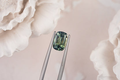 1.66 CT Elongated Cushion Teal Green Sapphire - Lavender Creek Gems 