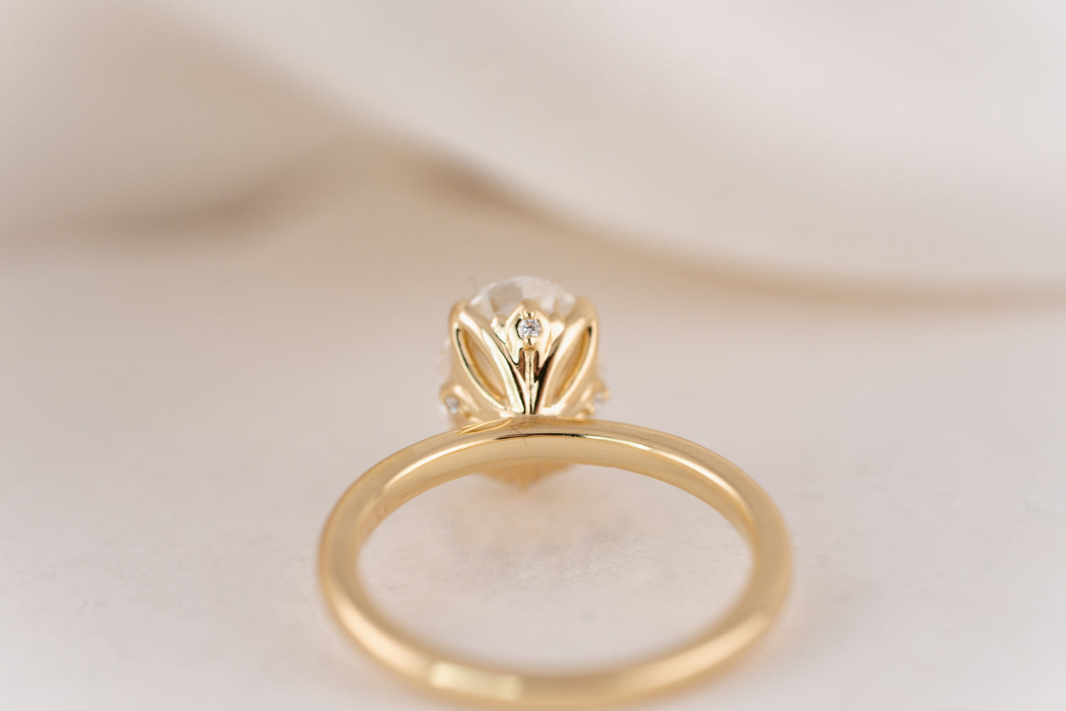 The Secret Garden Ring | 2.5 CT Oval Diamond
