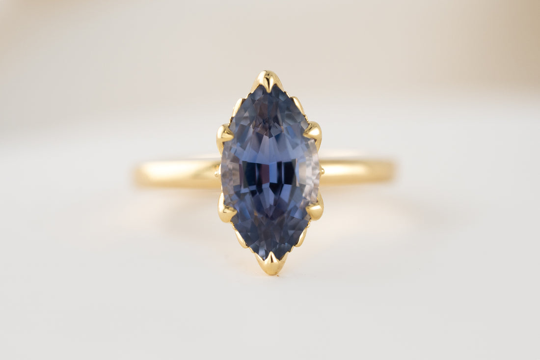 The Secret Garden Ring | 3.87 CT Marquise Blue Sapphire