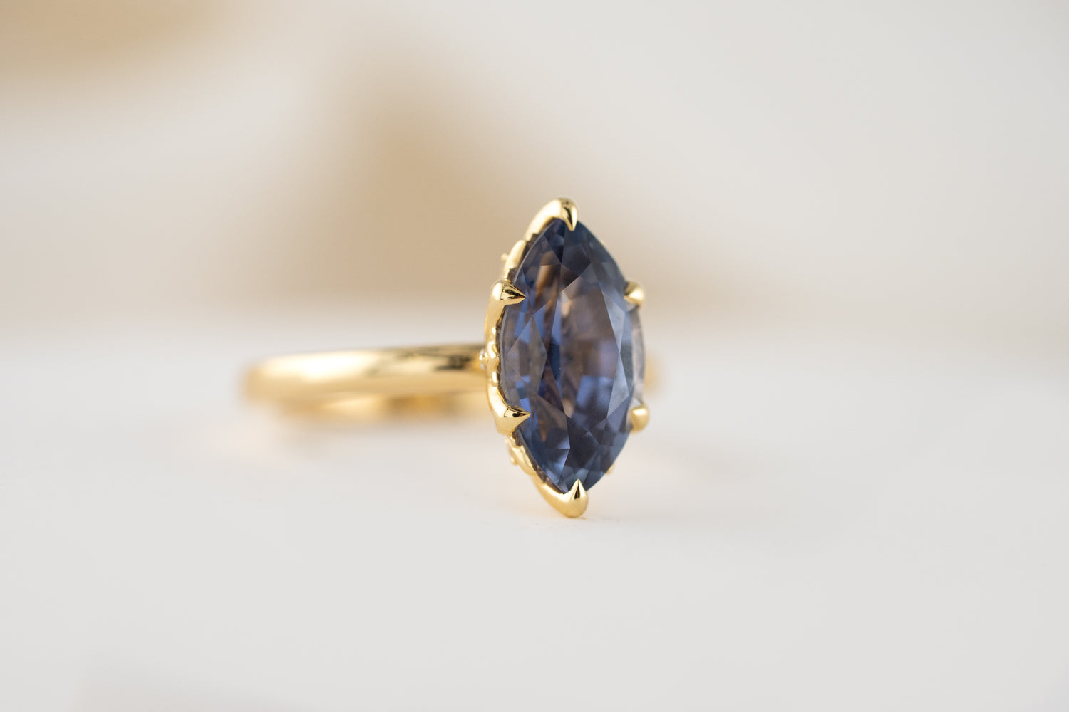 The Secret Garden Ring | 3.87 CT Marquise Blue Sapphire