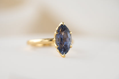 The Secret Garden Ring | 3.87 CT Marquise Blue Sapphire