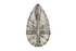 1.31 CT Pear Starbrite™ Cut Light Green Montana Sapphire - Lavender Creek Gems 