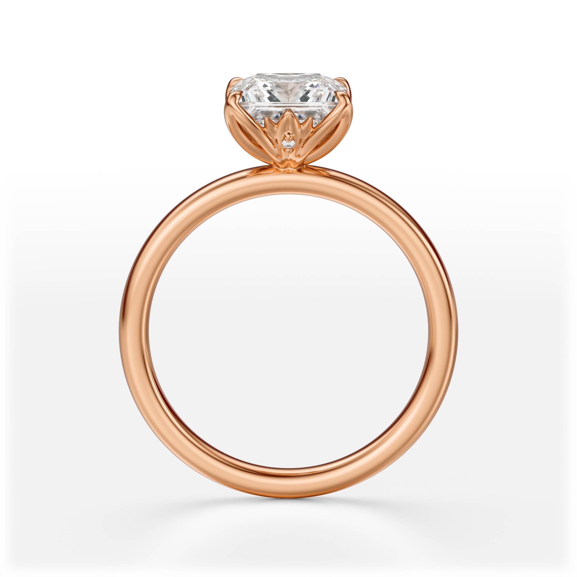 The Secret Garden Ring | Princess | Setting Only