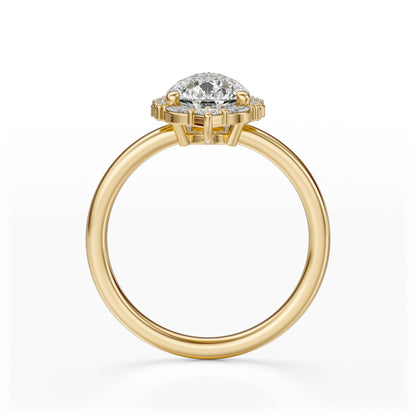 The Charlotte Ring