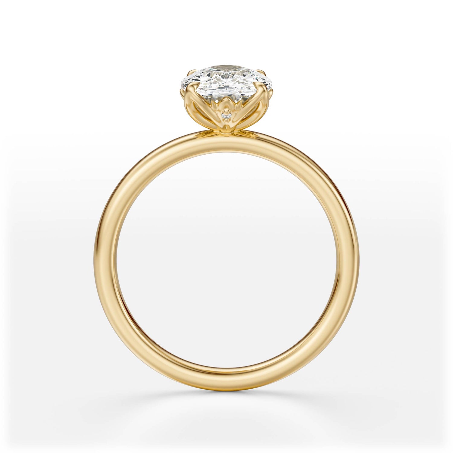 The Secret Garden Ring | Elongated Cushion | Setting Only