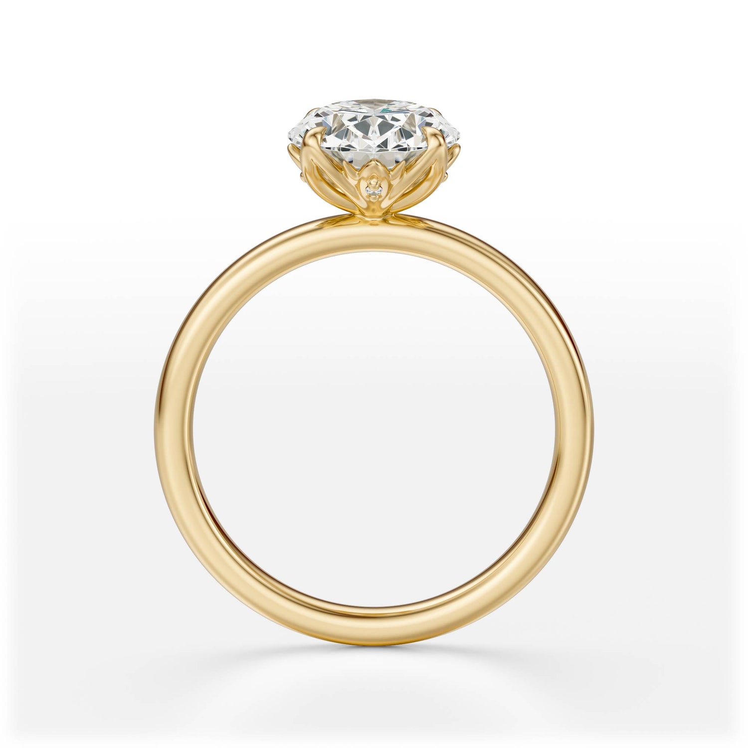 The Secret Garden Ring | Oval | Setting Only